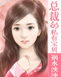 总裁的私有宝贝